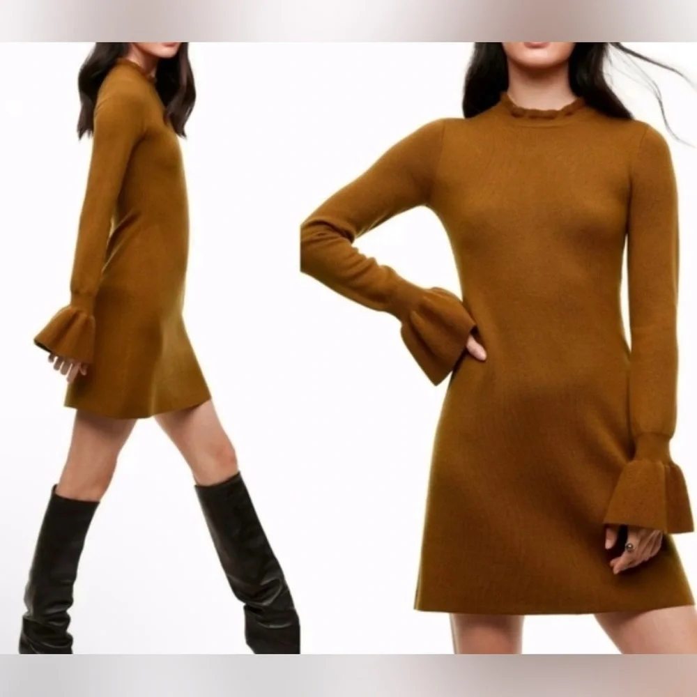 Aritzia Wilfred Tamarind Carre Long Sleeve Sweater Dress - Size L NWT